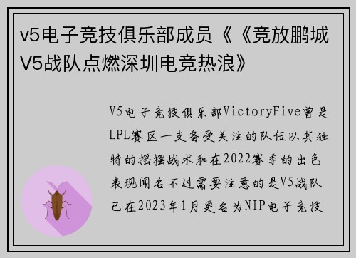 v5电子竞技俱乐部成员《《竞放鹏城V5战队点燃深圳电竞热浪》